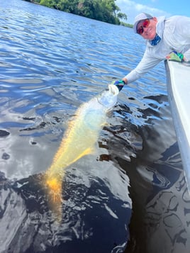 Tarpon Fishing in Carolina, Puerto Rico