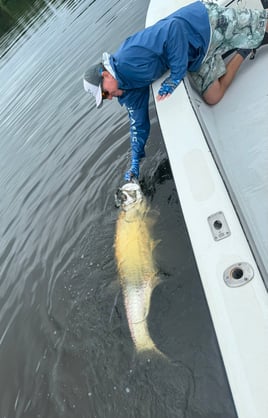 Tarpon Fishing in Carolina, Puerto Rico