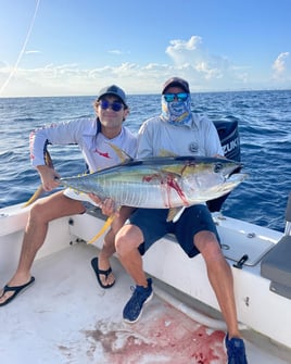 Yellowfin Tuna Fishing in Carolina, Puerto Rico