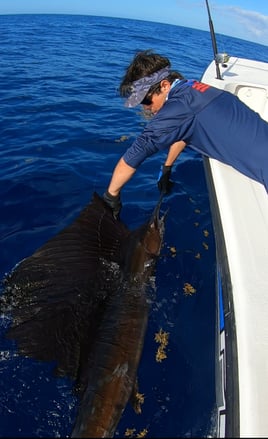 Extreme Offshore Trip - 26' Twin Vee