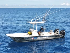 Extreme Offshore Trip - 26' Twin Vee