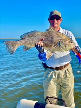 Black Drum Fishing in Saint Bernard, Louisiana