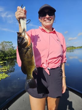 Peacock Bass Fishing in Fort Lauderdale, Florida