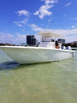 OffShore Trip - 26' Bimini