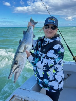 Barracuda Fishing in Fort Lauderdale, Florida