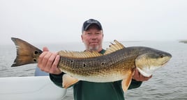 Redfish Fishing in Saint Bernard, Louisiana