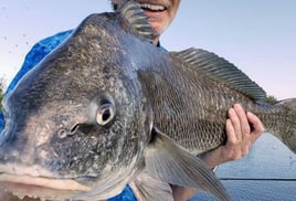 Black Drum Fishing in Saint Bernard, Louisiana