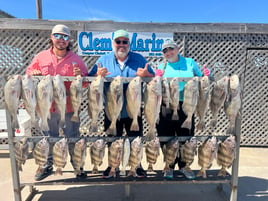 Flats / Inshore Corpus Christi