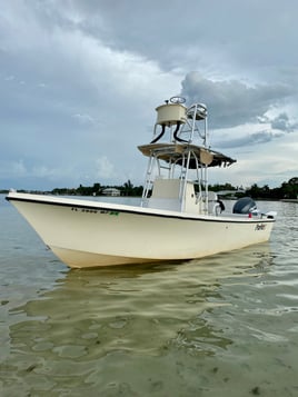 Sarasota Inshore/Nearshore