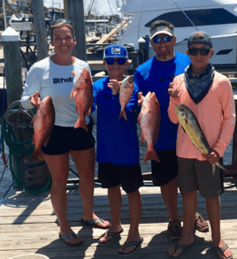 Mahi Mahi, Red Snapper Fishing in Destin, Florida