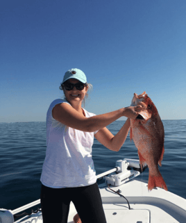 Red Snapper Fishing in Destin, Florida