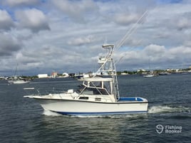 Swordfish Trip - 31' Rampage