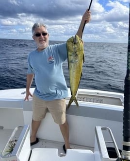 Mahi Mahi Fishing in Riviera Beach, Florida