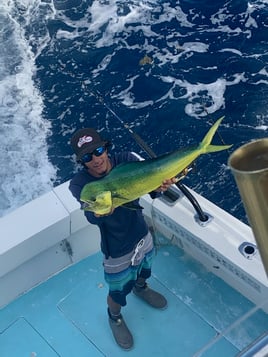 Open Ocean Sportfishing