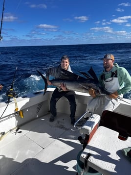 Open Ocean Sportfishing