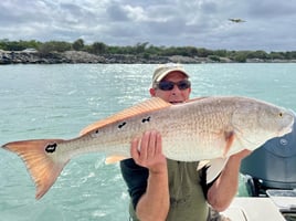 Back-to-Back Day Charters