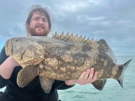 Back-to-Back Day Charters