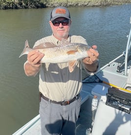 St. Augustine Inshore Catch