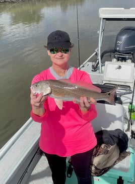 St. Augustine Inshore Catch