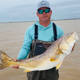 Redfish Fishing in Bay City, Texas