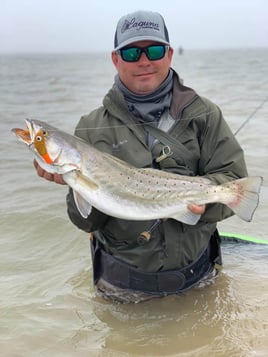 Speckled Trout Fishing in Bay City, Texas