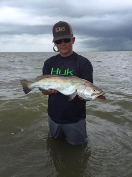 Speckled Trout Fishing in Bay City, Texas