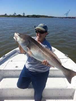 Alabama Reds and More