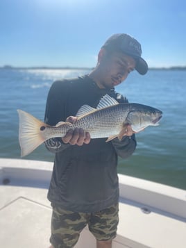 Inshore Light Tackle Trip