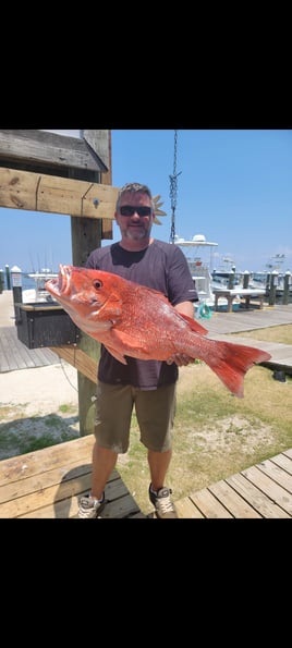 Fort Morgan Bottom Fishing