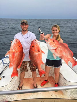 Half Day Snapper Trip II - 24' Kenner