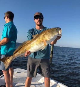 Gulf Shores Trolling Trip - 34' Bonner