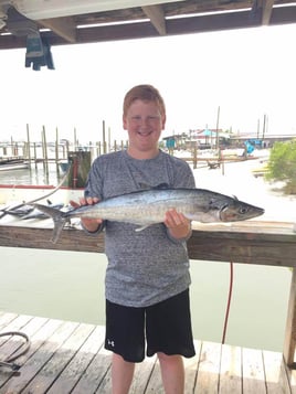 Gulf Shores Trolling Trip - 34' Bonner