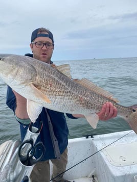 Gulf Shores Trolling Trip - 34' Bonner