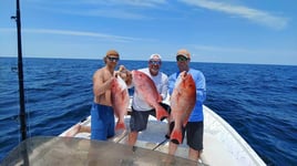 Half Day Snapper Trip II - 24' Kenner