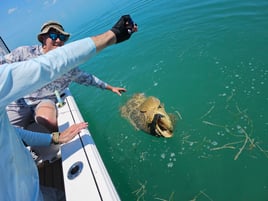 Everglades Inshore Trip