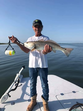 Baffin Bay Shallows