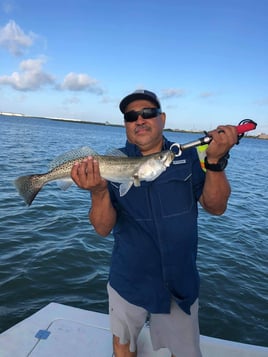 Baffin Bay Shallows