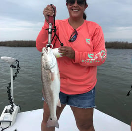 Baffin Bay Shallows