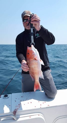 Offshore Fishing - 24ft Sea Pro