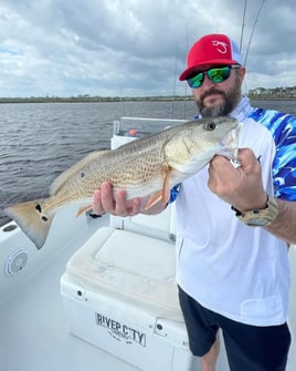 Redfish Fishing in Jacksonville, Florida