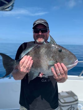 5-8 Hour Gulf Trip - 25' Cobia