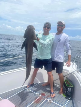 5-8 Hour Gulf Trip - 25' Cobia