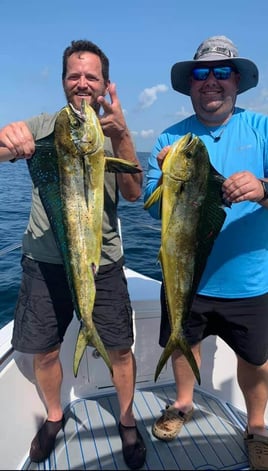 5-8 Hour Gulf Trip - 25' Cobia