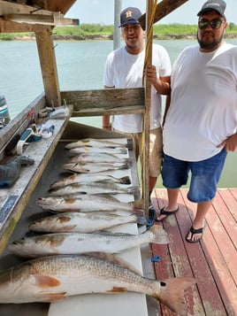 Full or Half Day Inshore