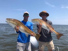 Full Day Inshore - 24' Blue Wave