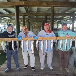 Speckled Trout Fishing in Port O'Connor, Texas