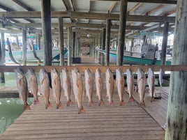 Redfish Fishing in Port O'Connor, Texas