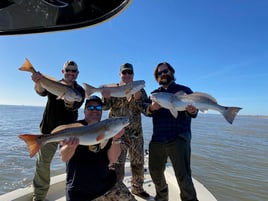 Full Day Inshore - 26' Blackjack