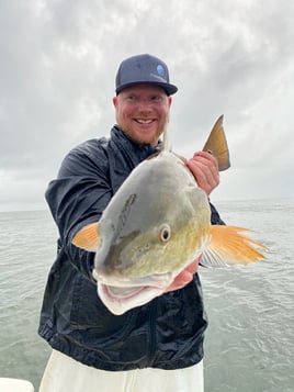 Full Day Inshore - 26' Blackjack