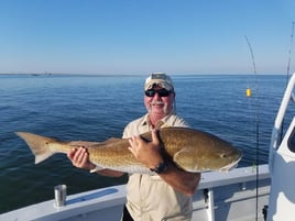 Full Day Inshore - 24' Gravois